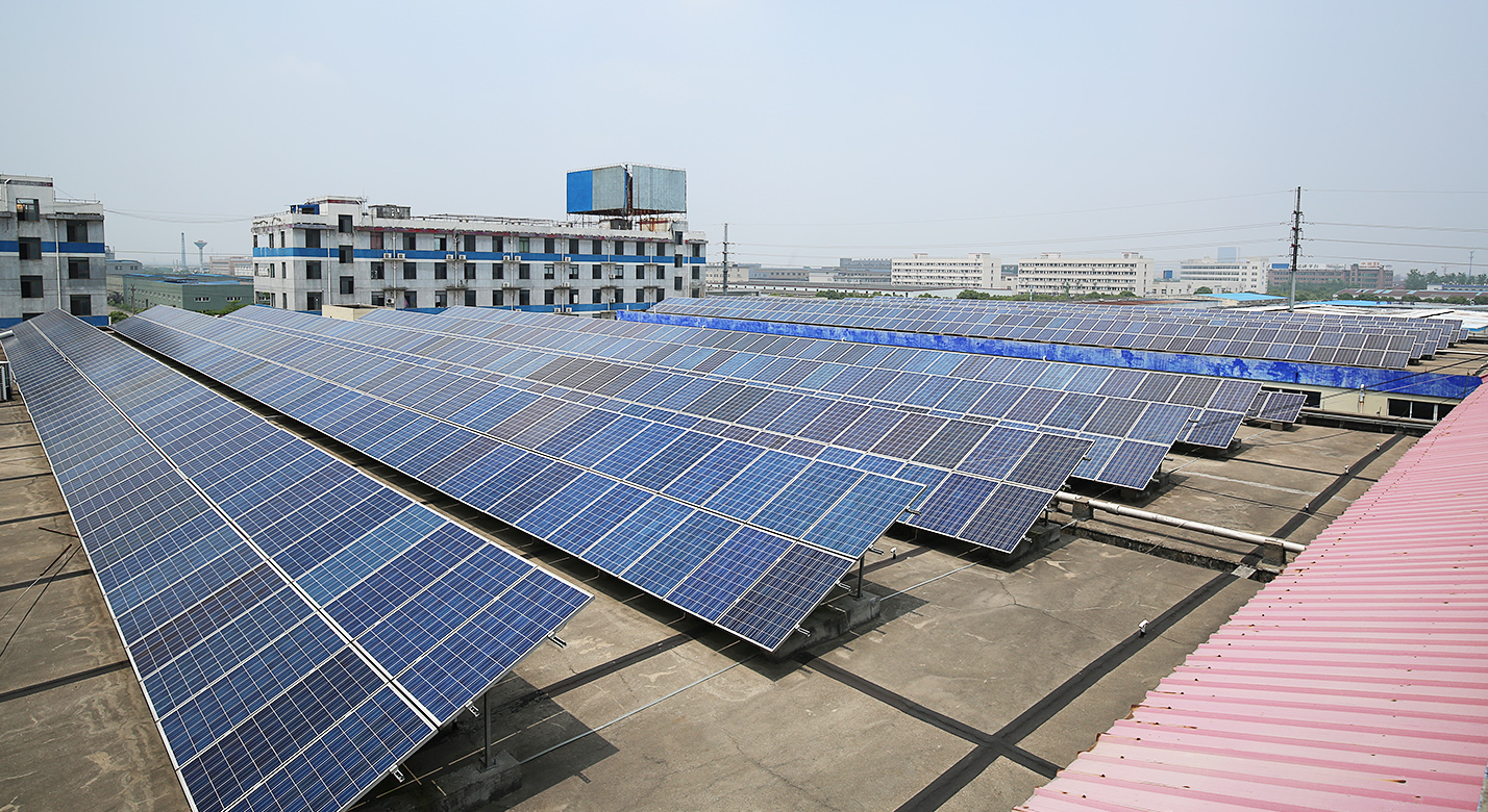 �㽭����ǧ��è������ʽ���������Ŀ