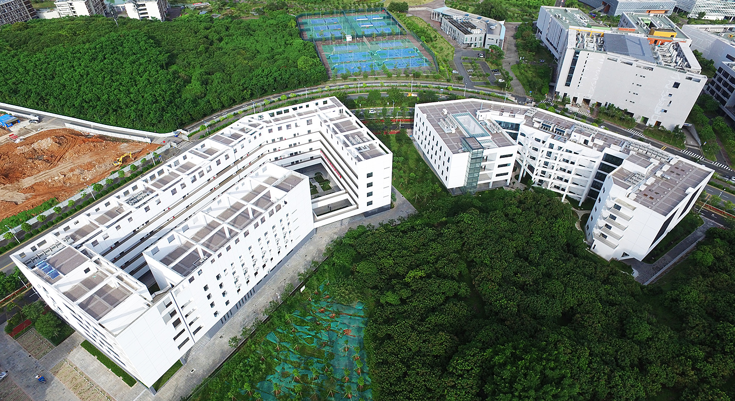 ���ڴ�ѧ����У��