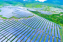 ����ʡ��˳�й���������50MWp�����վEPC�ܳа���Ŀ