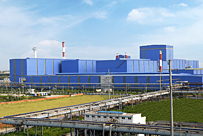 ��ֶ�����