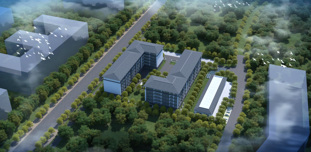 BG真人(中国)官方网站