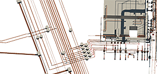 BG真人(中国)官方网站